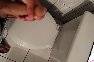 Punhetando no banheiro pra prima