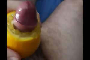 Orange Pussy 2